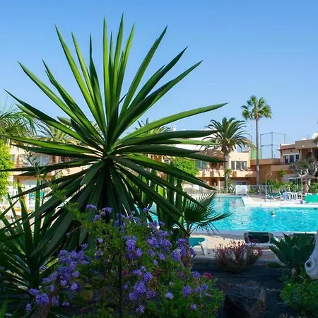 Pool View & Terrace